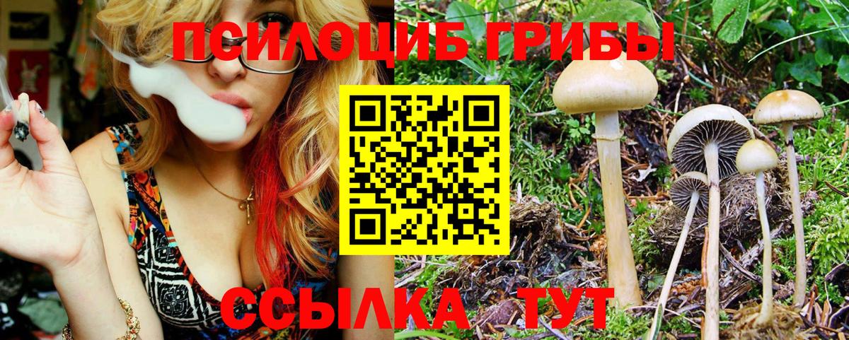 Псилоцибиновые грибы мухоморы Горно-Алтайск